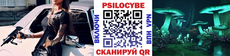 наркота  Луза  darknet клад  Галлюциногенные грибы ЛСД 